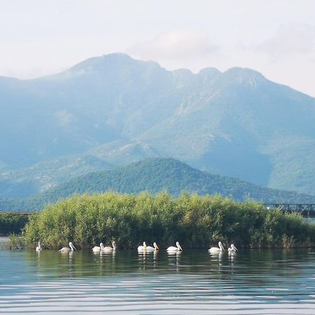 Apartment Dapcevic Skadar Lake Vranjina Bagian luar foto