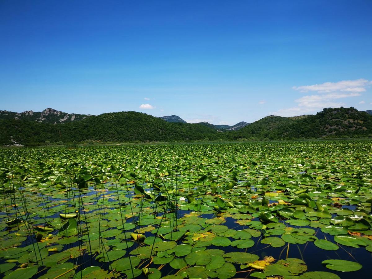Apartment Dapcevic Skadar Lake Vranjina Bagian luar foto