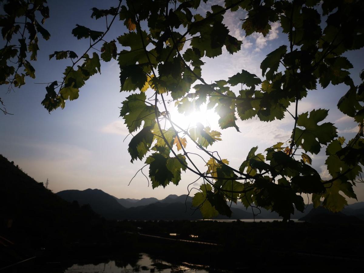 Apartment Dapcevic Skadar Lake Vranjina Bagian luar foto