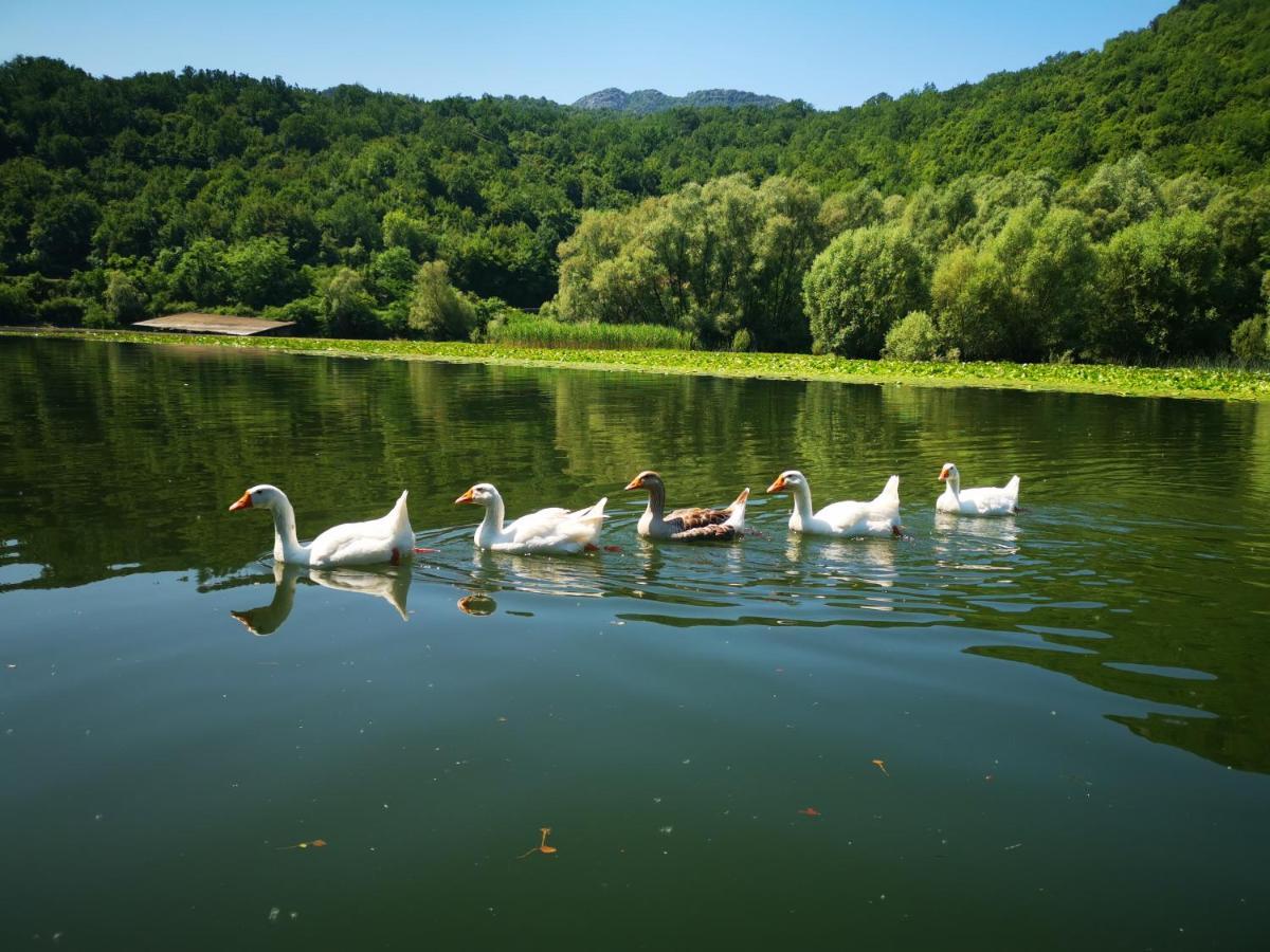 Apartment Dapcevic Skadar Lake Vranjina Bagian luar foto