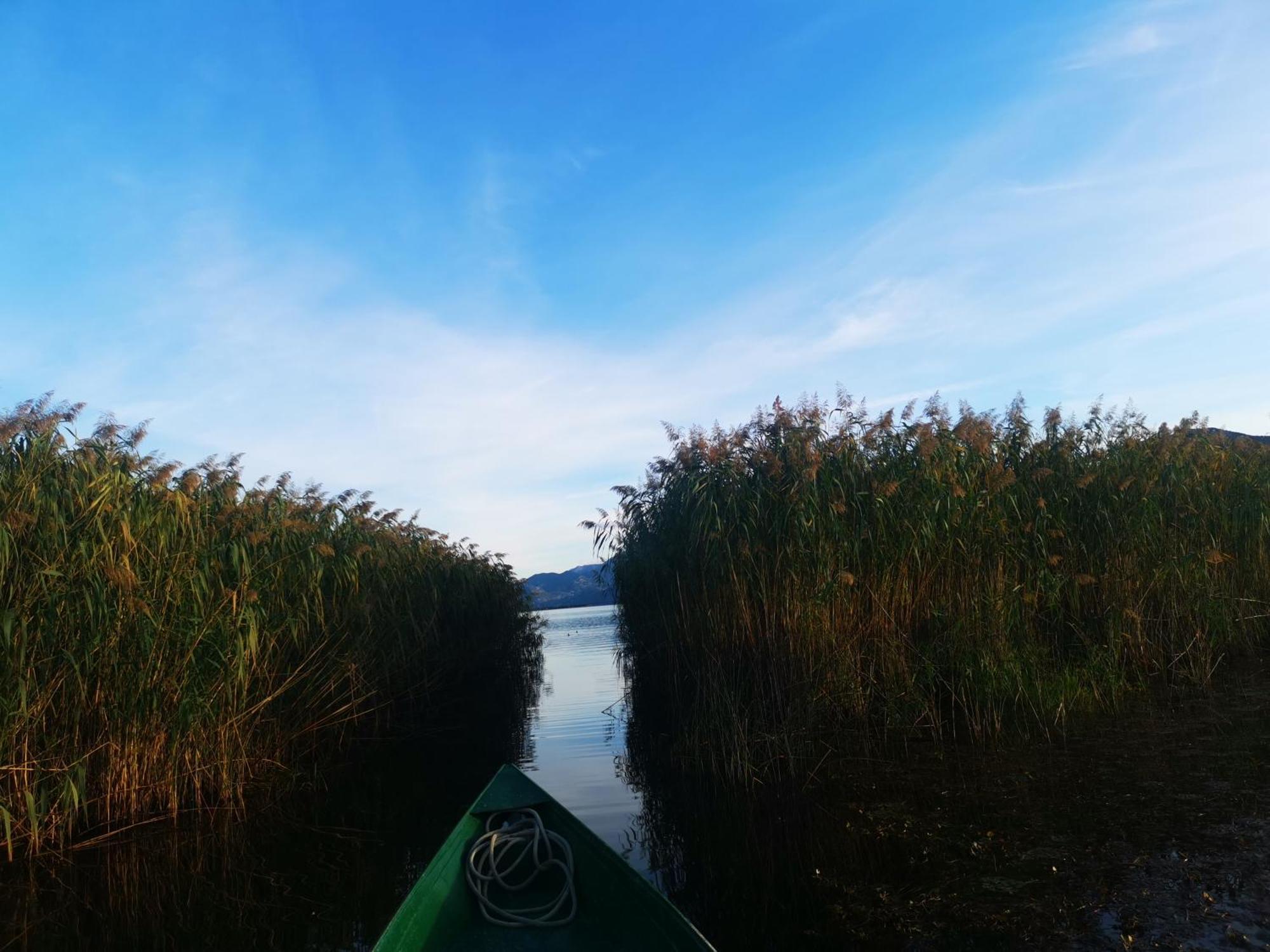 Apartment Dapcevic Skadar Lake Vranjina Bagian luar foto