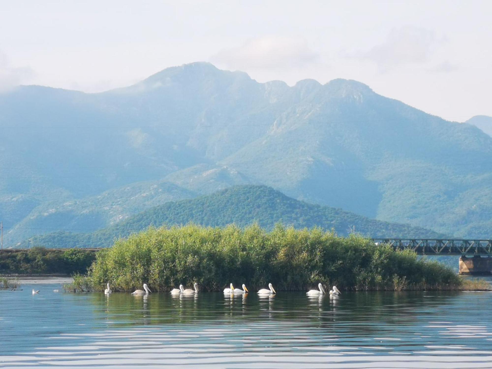 Apartment Dapcevic Skadar Lake Vranjina Bagian luar foto
