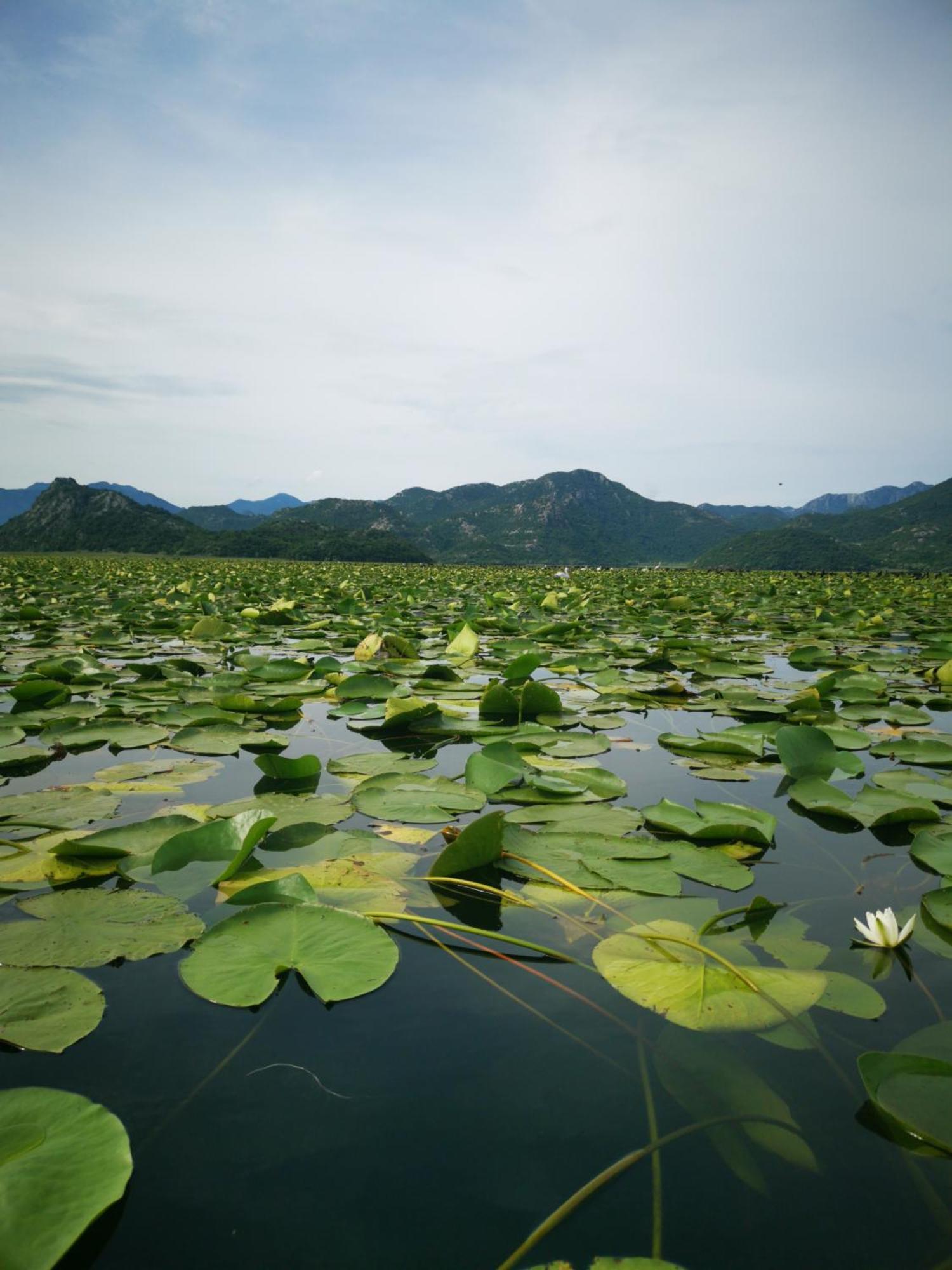 Apartment Dapcevic Skadar Lake Vranjina Bagian luar foto